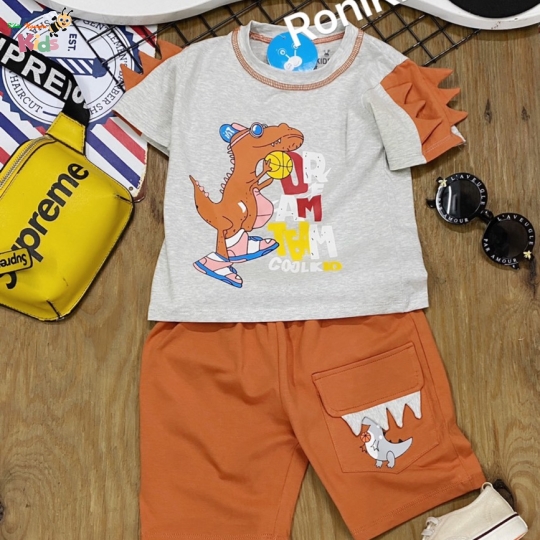 CHÀO LÔ BỘ TRAI KHỦNG LONG RONIKIDS